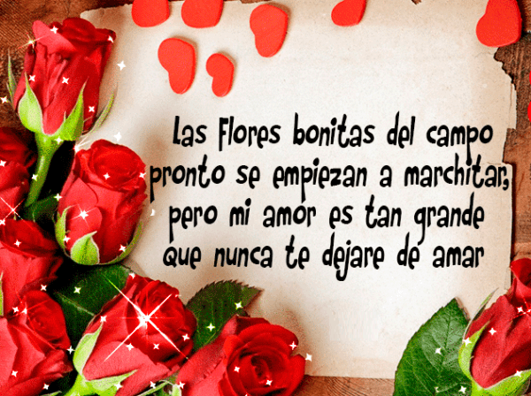 los-mensajes-de-whatsapp-mas-romanticos-de-san-valentin-2017-mensajes-de-amor-frases-flores-del-campo